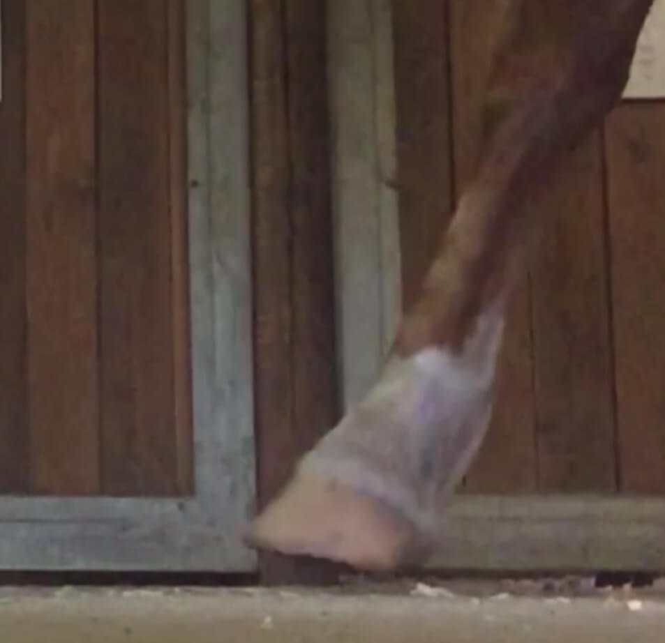 Heel first landing
