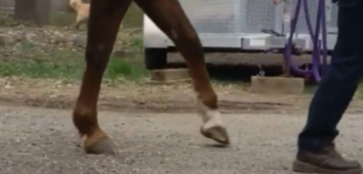 Toe first landing
