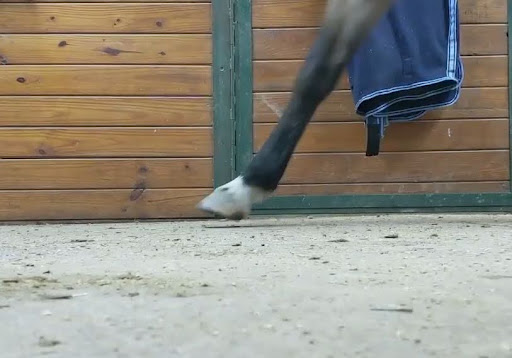 Heel first landing